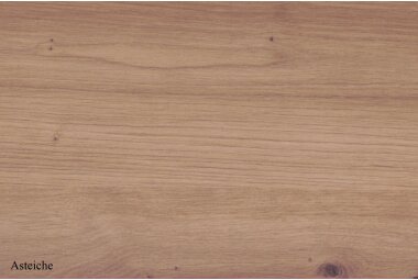 Esszimmertisch Eike 4 140 x 90 x 75 Esstisch Graphit/Asteiche 13414