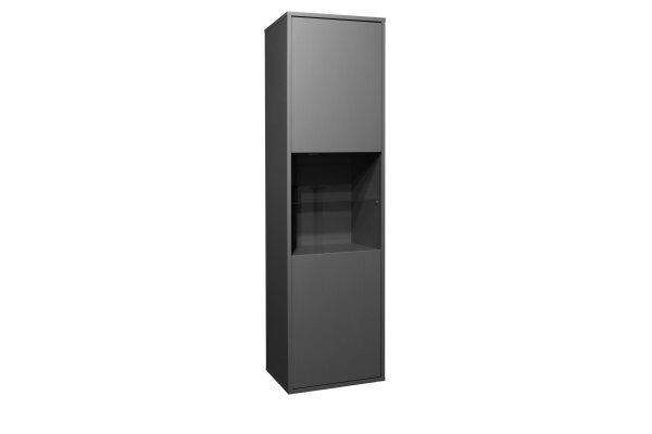Vitrine Erna 51x45x182 Anthrazit matt Lack 14769